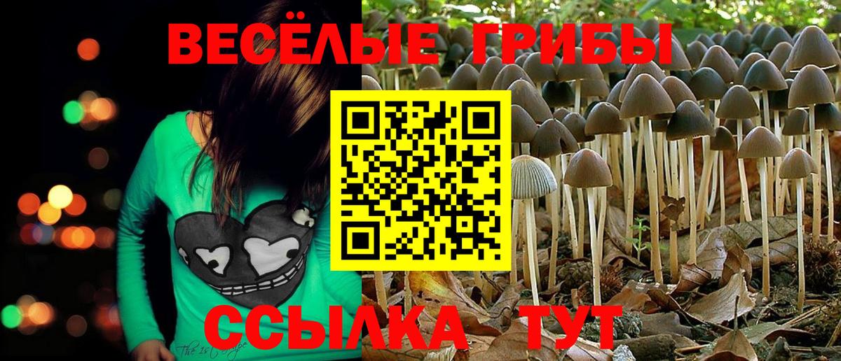 Псилоцибиновые грибы GOLDEN TEACHER Кувандык
