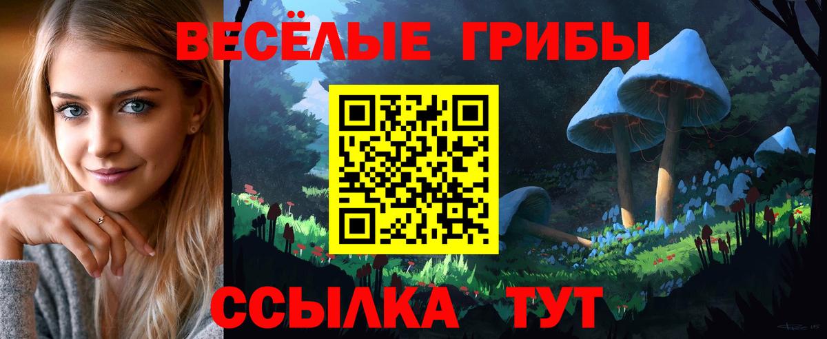 Кувандык  Псилоцибиновые грибы GOLDEN TEACHER  Вход с VPN  Псилоцибиновые грибы Psilocybe 